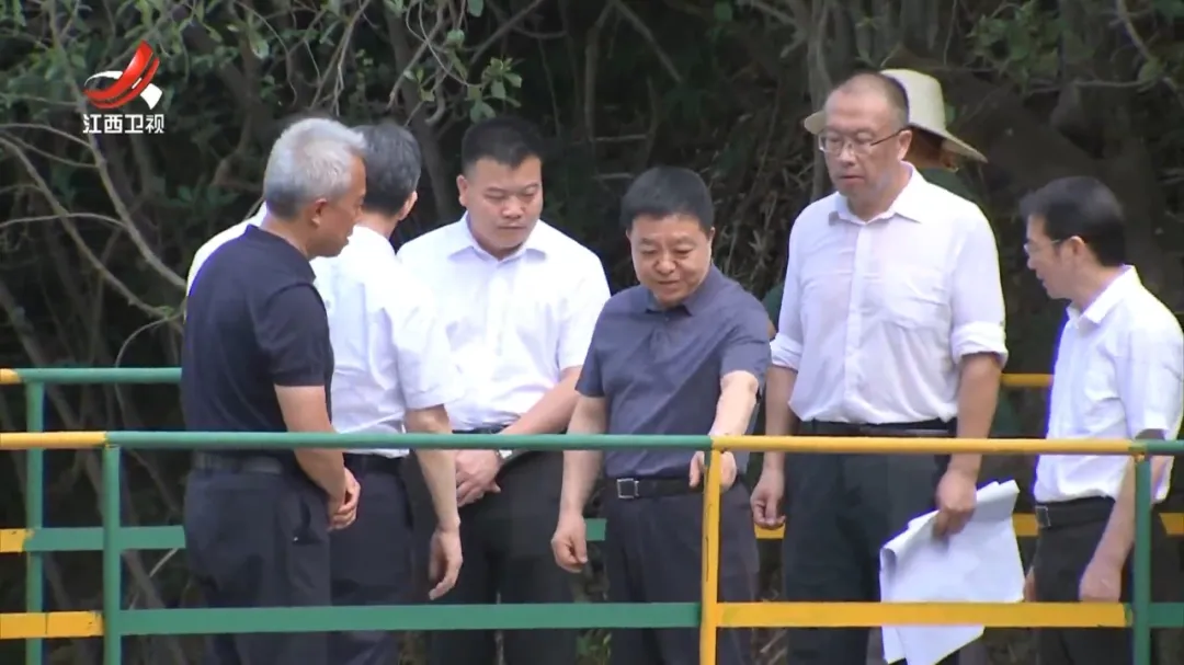 网友响应后，省长现场调研：让挣黑心钱的企业付出崇高代价